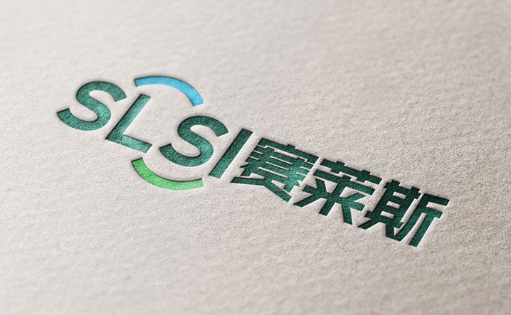 SLSI 赛莱斯