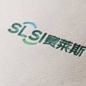 SLSI 赛莱斯