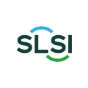 SLSI 赛莱斯